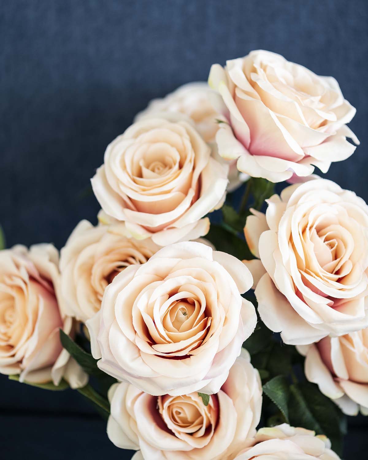 a-bouquet-of-light-orange-roses-background-FWWW27E.jpeg